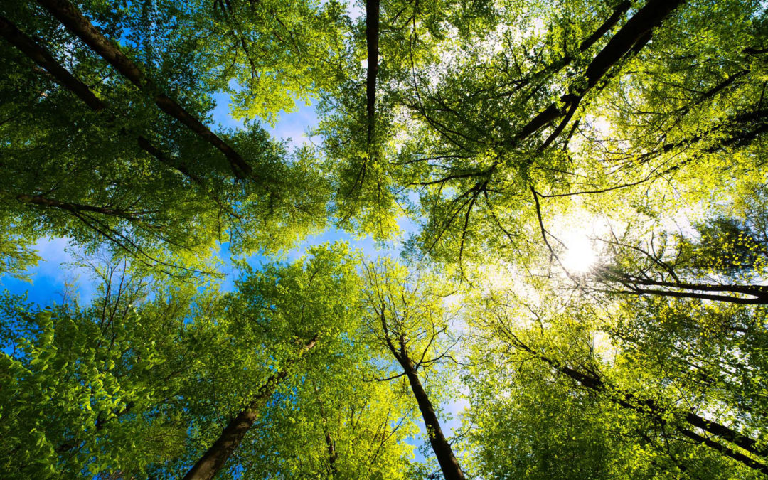 In the News: ESG Clarity: Time to place ESG ‘underperformance’ in context
