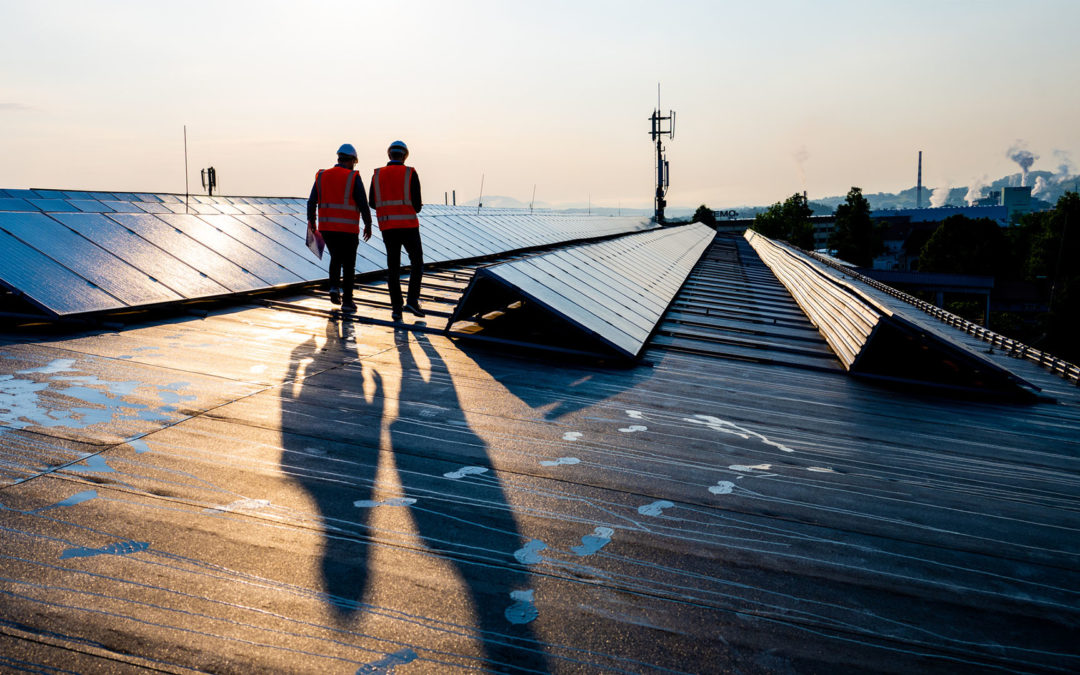 In the News: Professional Adviser: Greenwashing — the key differences between FCA and EU regulation