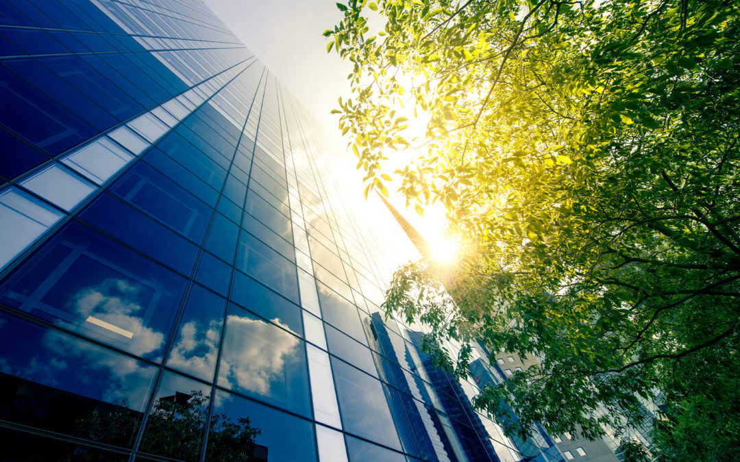 In the News: Net Zero Investor: SDR: A regulatory saviour?